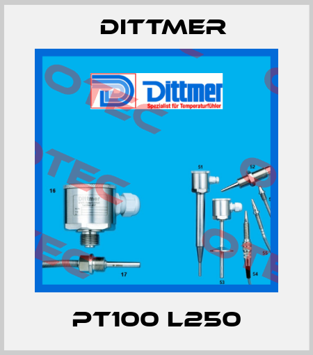 Pt100 L250 Dittmer
