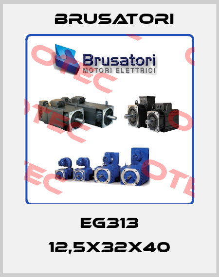 EG313 12,5X32X40 Brusatori