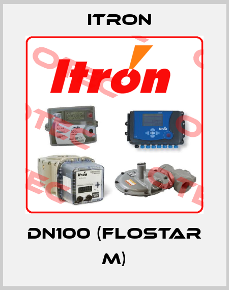 DN100 (Flostar M) Itron