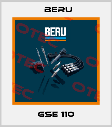 GSE 110 Beru