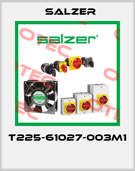 T225-61027-003M1  Salzer