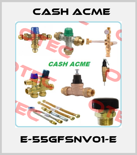 E-55GFSNV01-E Cash Acme