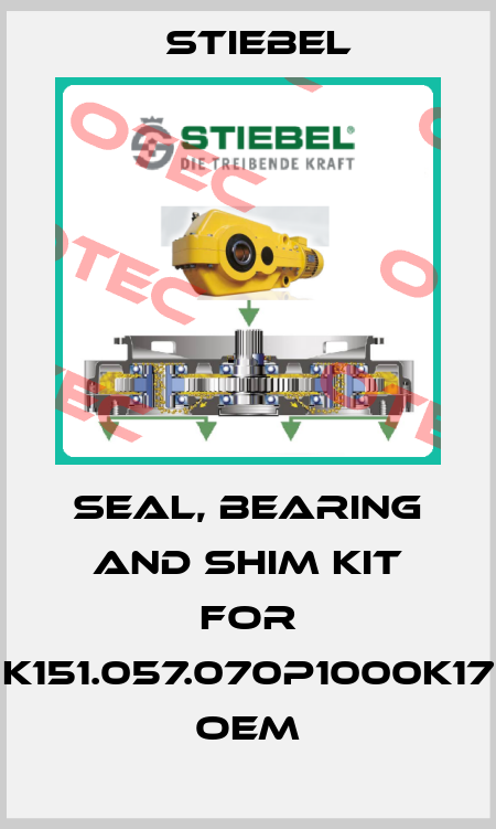 Seal, Bearing and Shim kit for K151.057.070P1000K17 OEM Stiebel