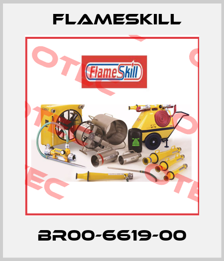 BR00-6619-00 FlameSkill