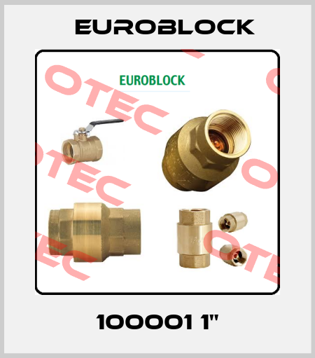 100001 1" Euroblock