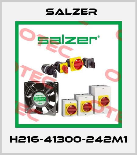 H216-41300-242M1 Salzer