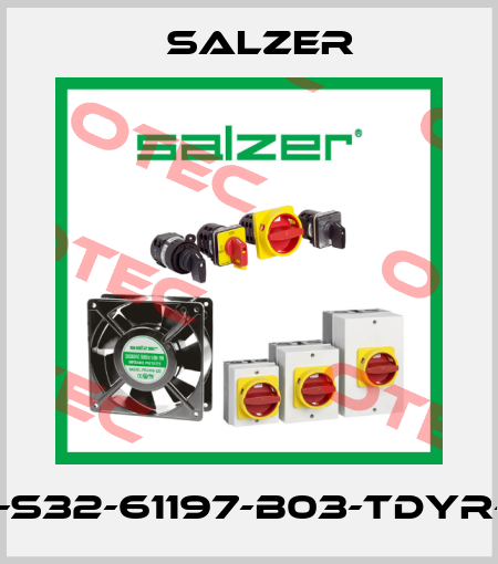 32A-S32-61197-B03-TDYR-025 Salzer