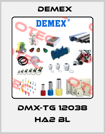 DMX-TG 12038 HA2 BL Demex
