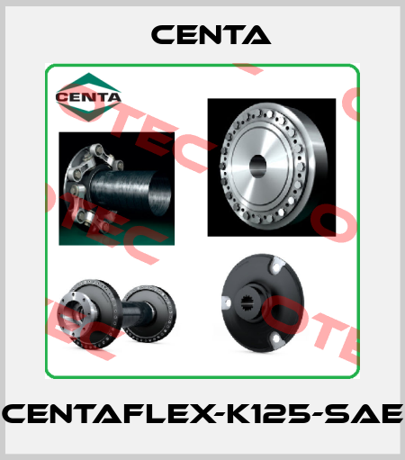 Centaflex-K125-SAE Centa