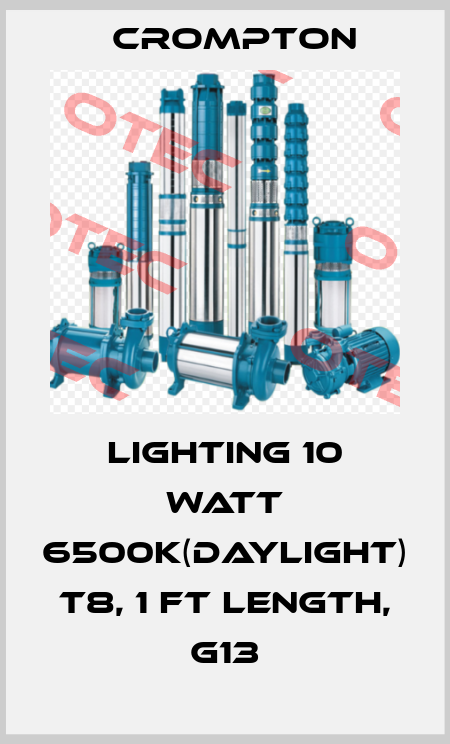 Lighting 10 Watt 6500K(Daylight) T8, 1 ft Length, G13 Crompton