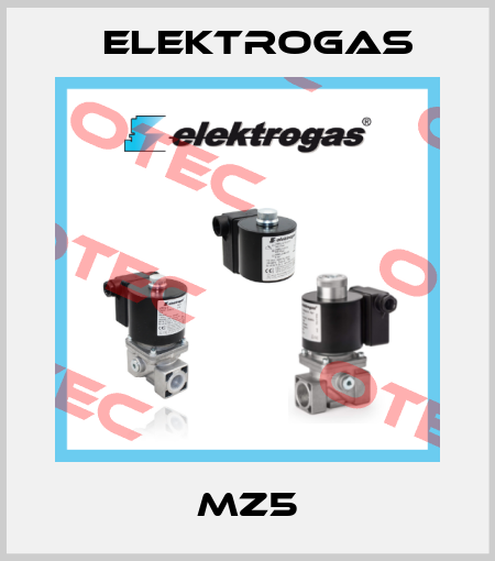 MZ5 Elektrogas