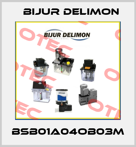 BSB01A04OB03M Bijur Delimon