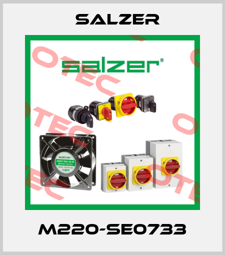 M220-SE0733 Salzer