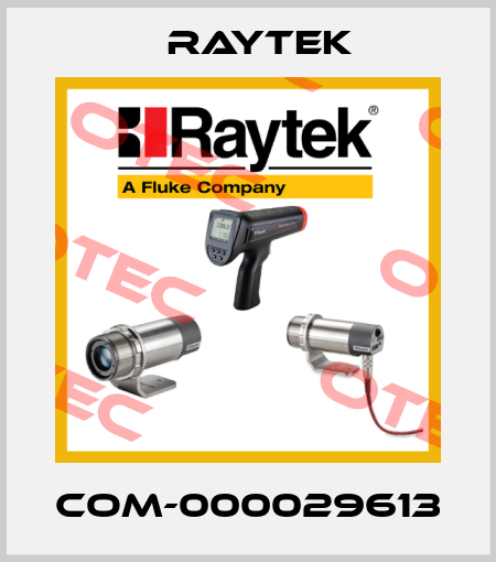 COM-000029613 Raytek
