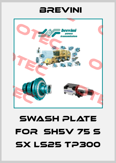 Swash plate for  SH5V 75 S SX LS25 TP300 Brevini