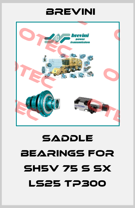 Saddle bearings for SH5V 75 S SX LS25 TP300 Brevini