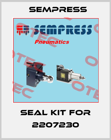 seal kit for 2207230 Sempress