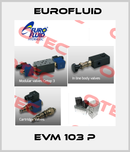 EVM 103 P Eurofluid