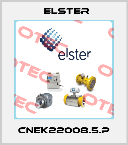 CNEK22008.5.P Elster