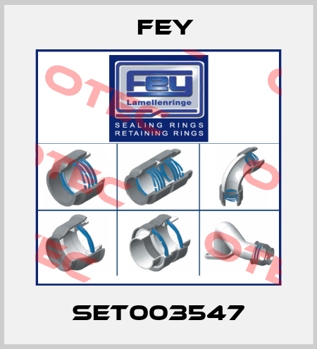 SET003547 Fey
