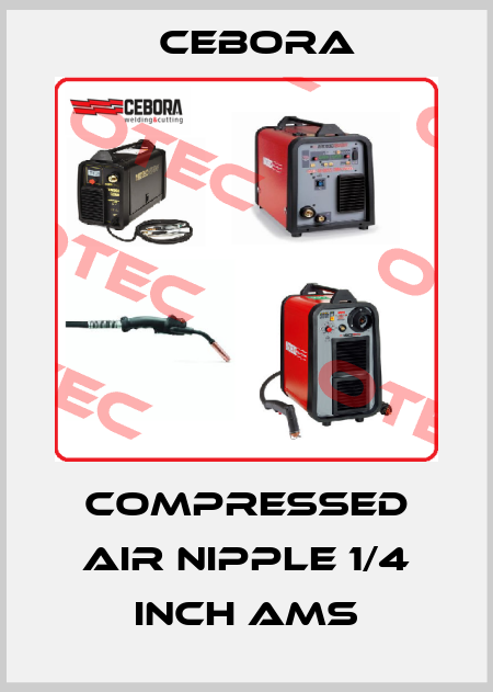 Compressed air nipple 1/4 inch aMS Cebora