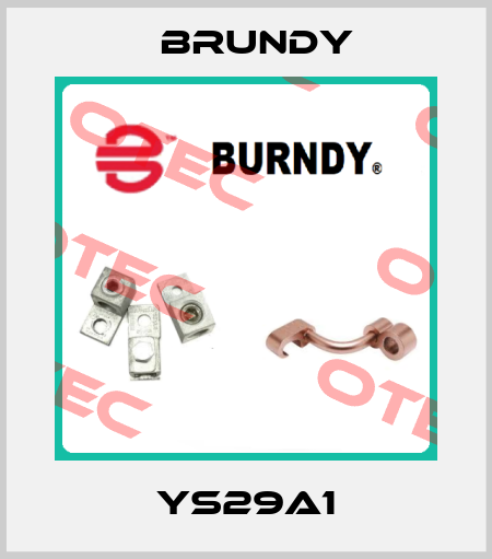 YS29A1 Brundy