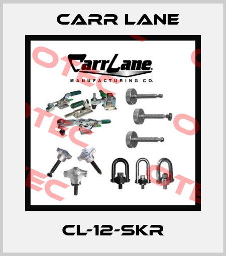 CL-12-SKR Carr Lane