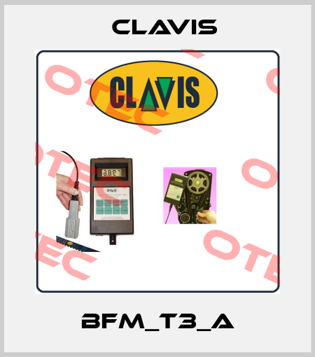 BFM_T3_A Clavis
