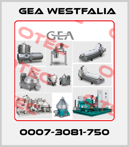 0007-3081-750 Gea Westfalia