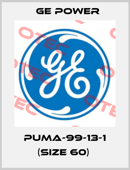 PUMA-99-13-1 (size 60)  GE Power