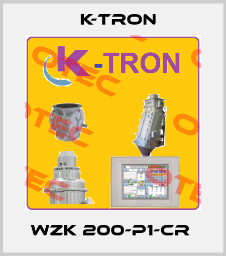 WZK 200-P1-CR  K-tron