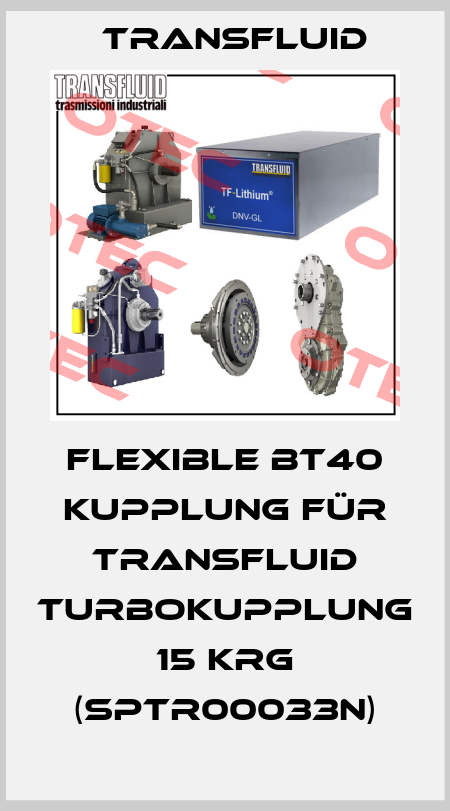 Flexible BT40 Kupplung für Transfluid Turbokupplung 15 KRG (SPTR00033N) Transfluid