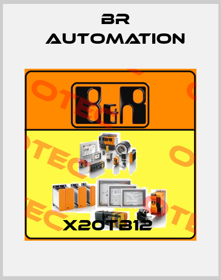 X20TB12  Br Automation
