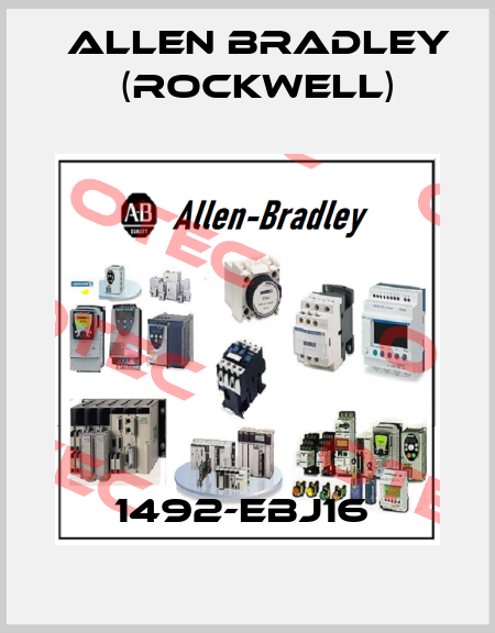 1492-EBJ16  Allen Bradley (Rockwell)