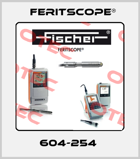 604-254  Feritscope®