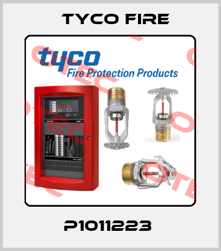 P1011223  Tyco Fire