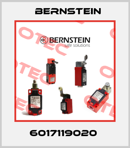 6017119020  Bernstein