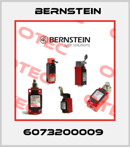 6073200009  Bernstein