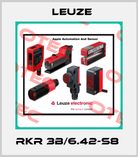 RKR 3B/6.42-S8  Leuze