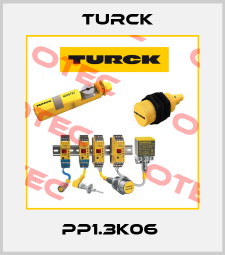 PP1.3K06  Turck