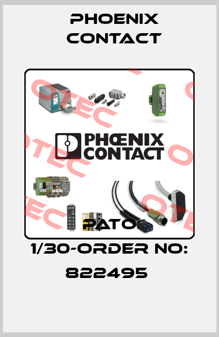PATO 1/30-ORDER NO: 822495  Phoenix Contact