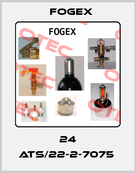 24 ATS/22-2-7075  Fogex