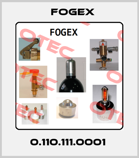 0.110.111.0001  Fogex