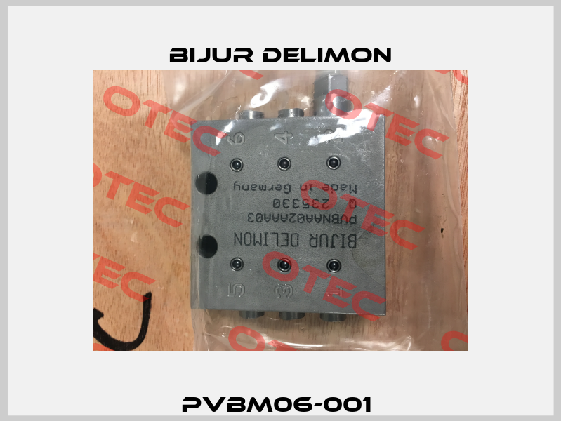 PVBM06-001  Bijur Delimon