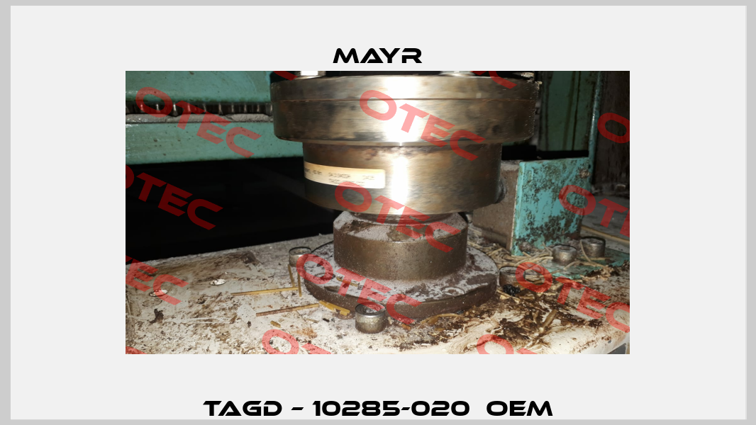 TAGD – 10285-020  OEM Mayr