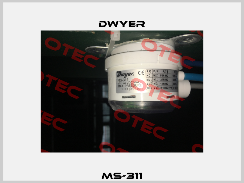 MS-311 Dwyer