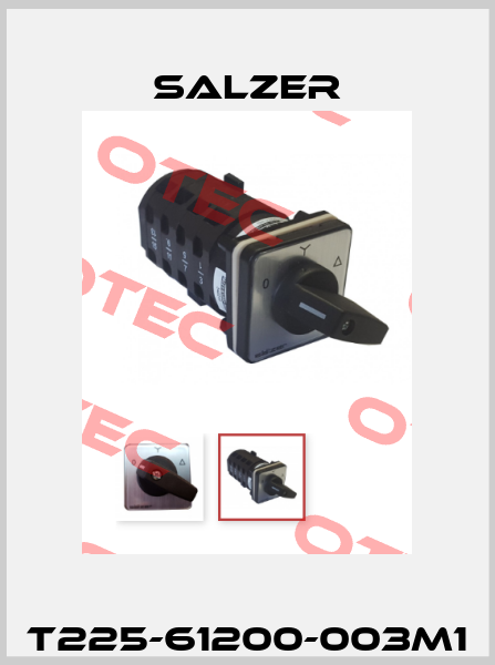 T225-61200-003M1 Salzer