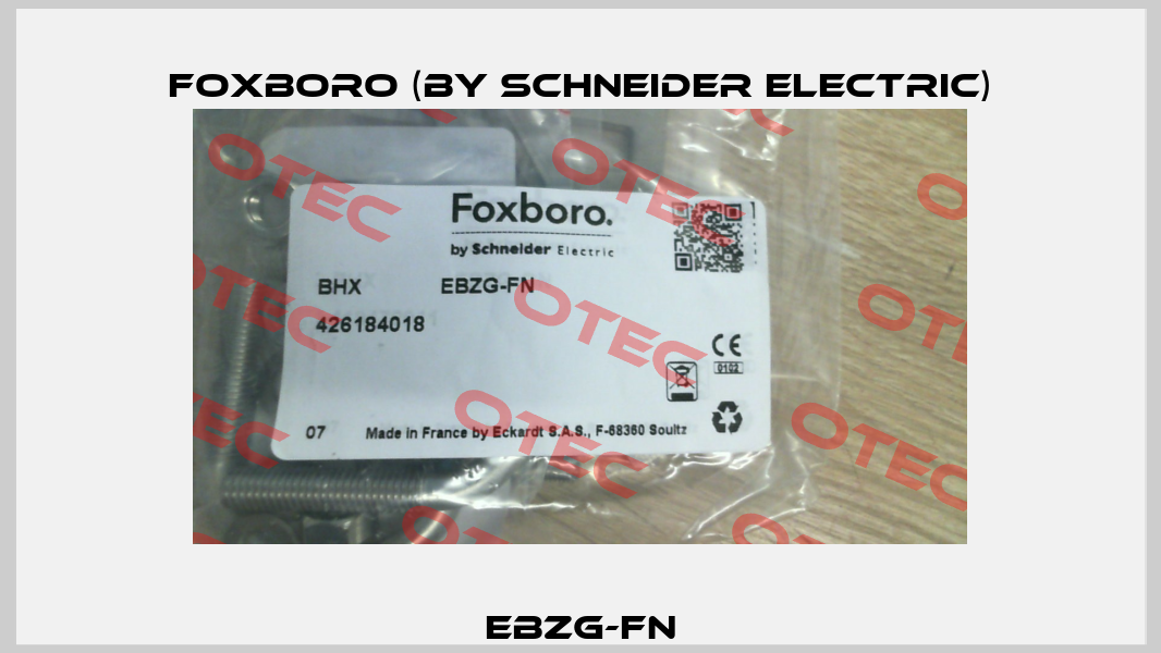 EBZG-FN Foxboro (by Schneider Electric)