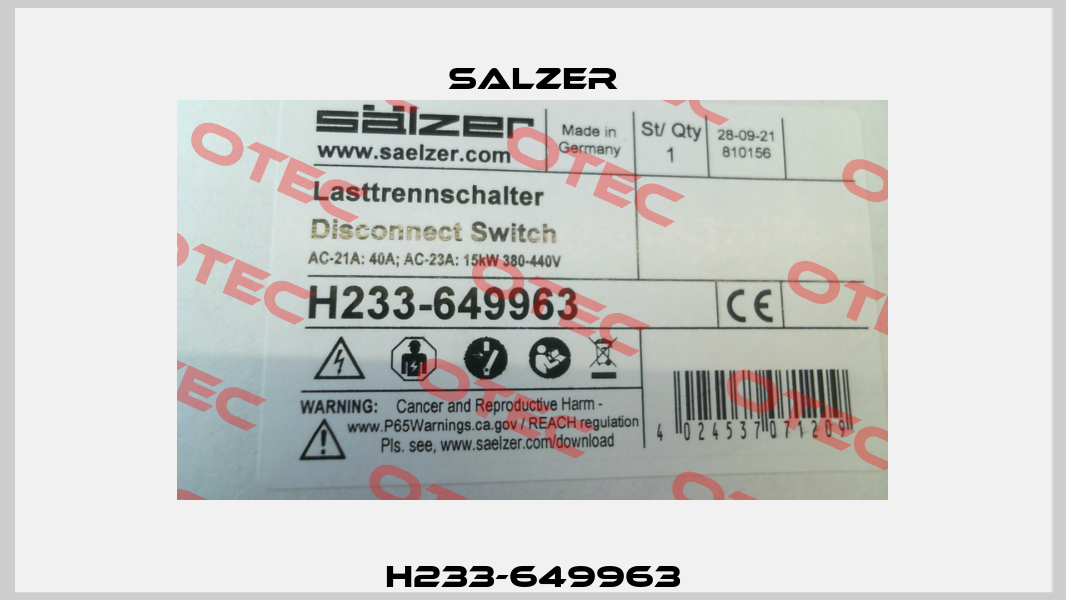 H233-649963 Salzer