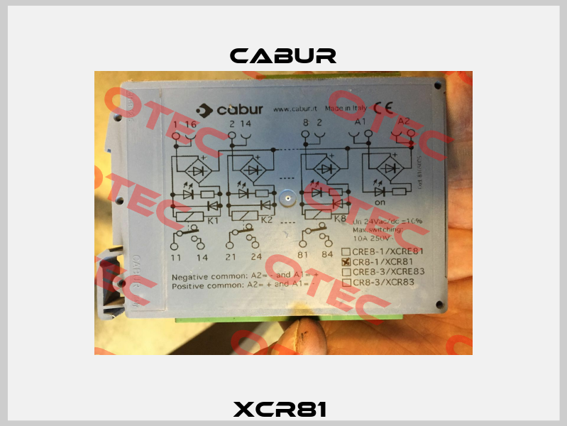 XCR81  Cabur